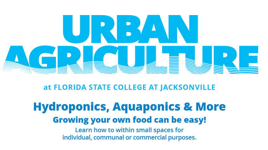 Urban Agriculture Image